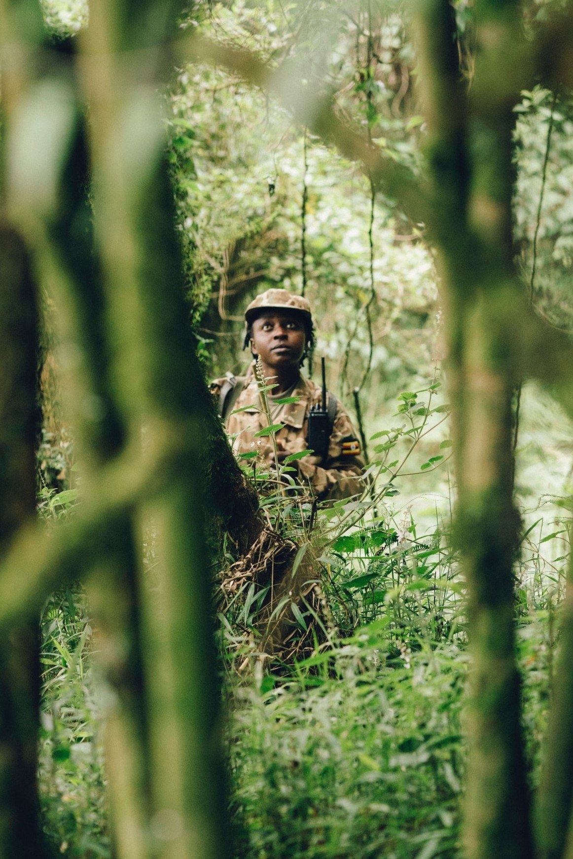 Random institute bwindi unsplash