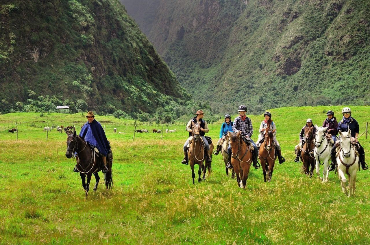 Zuleta horses