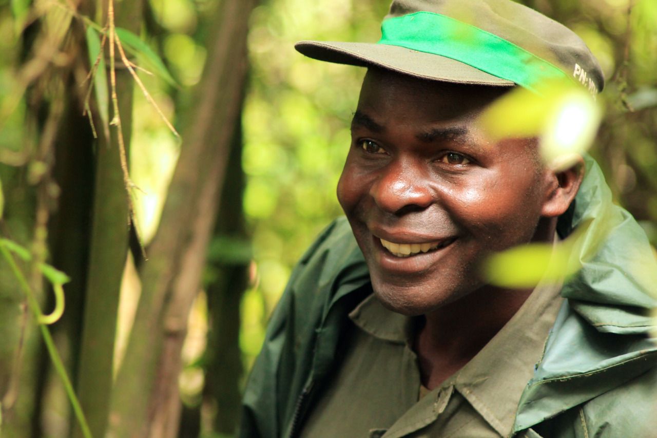 Gorilla Trekking Rwanda 1