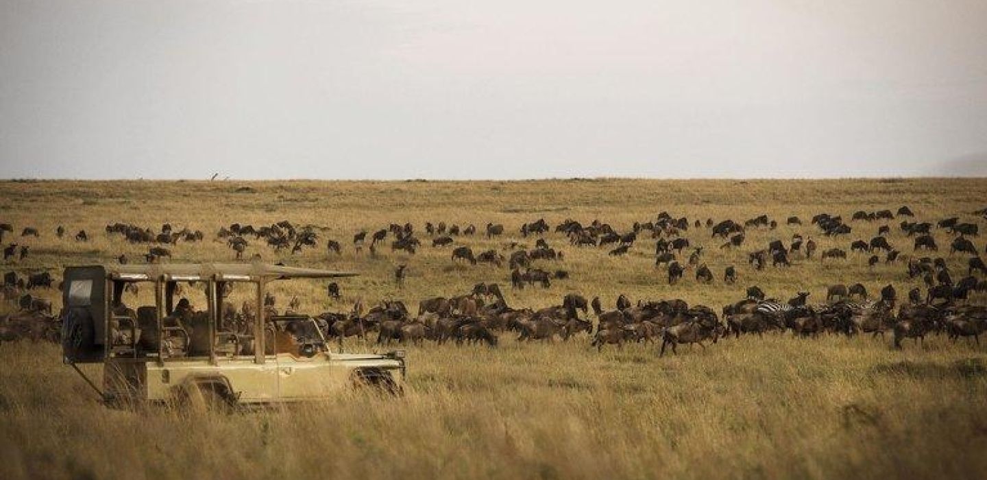 Olakira game drive