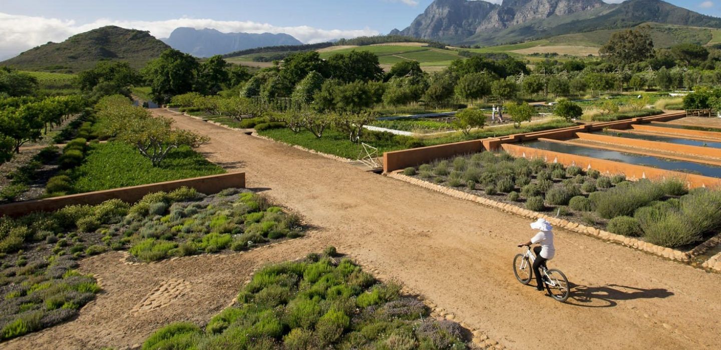 Babylonstoren Farm Hotel 25