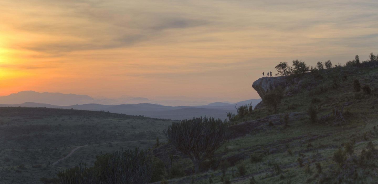 Borana pride rock