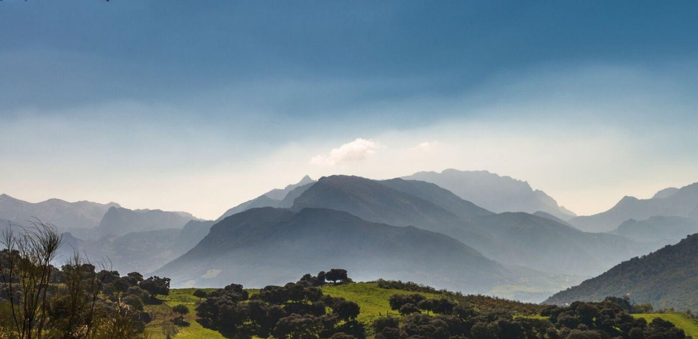 Finca La Donaira 1