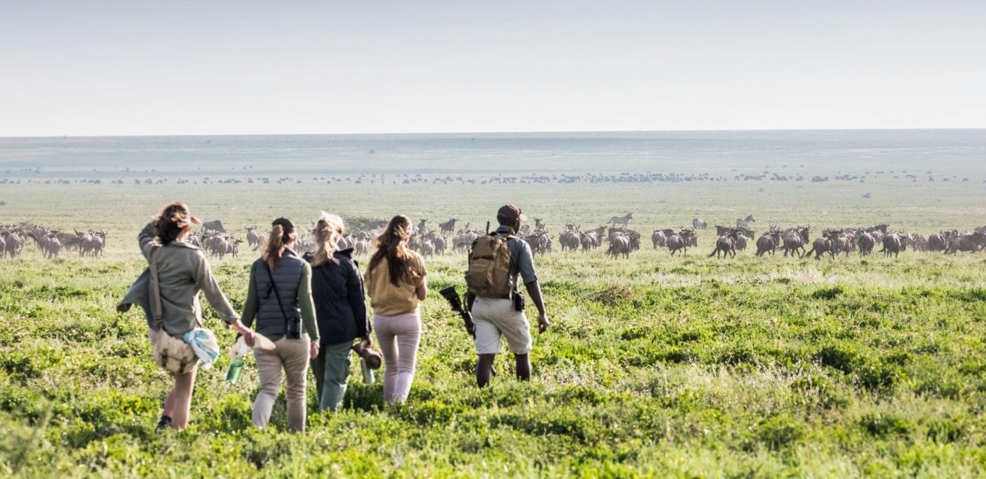 Legendary Migration Camp Serengeti Tanzania 12