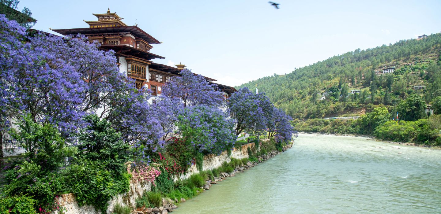 My Bhutan Bhutan 41