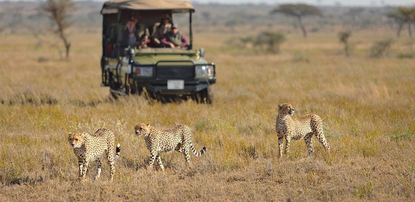 Namiri Plains Serengeti Tanzania Safari 13