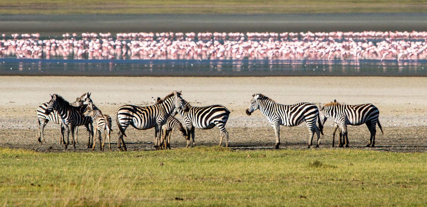 Ngorongoro Crater Gibbs Farm Tanzania 22