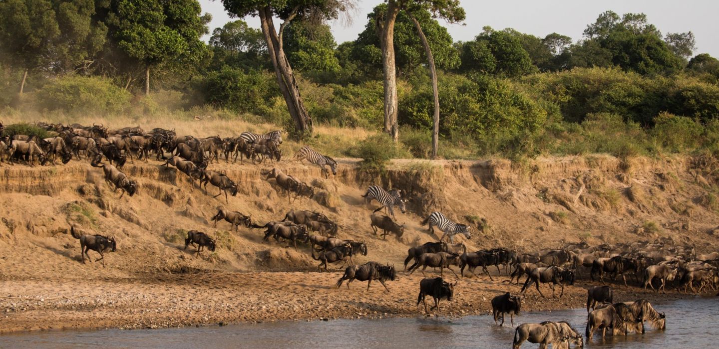 Salas Camp Mara Kenya migration 1
