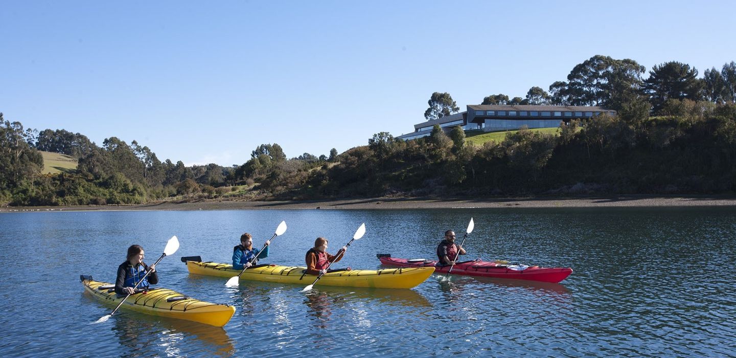 Tierra Chiloe 6