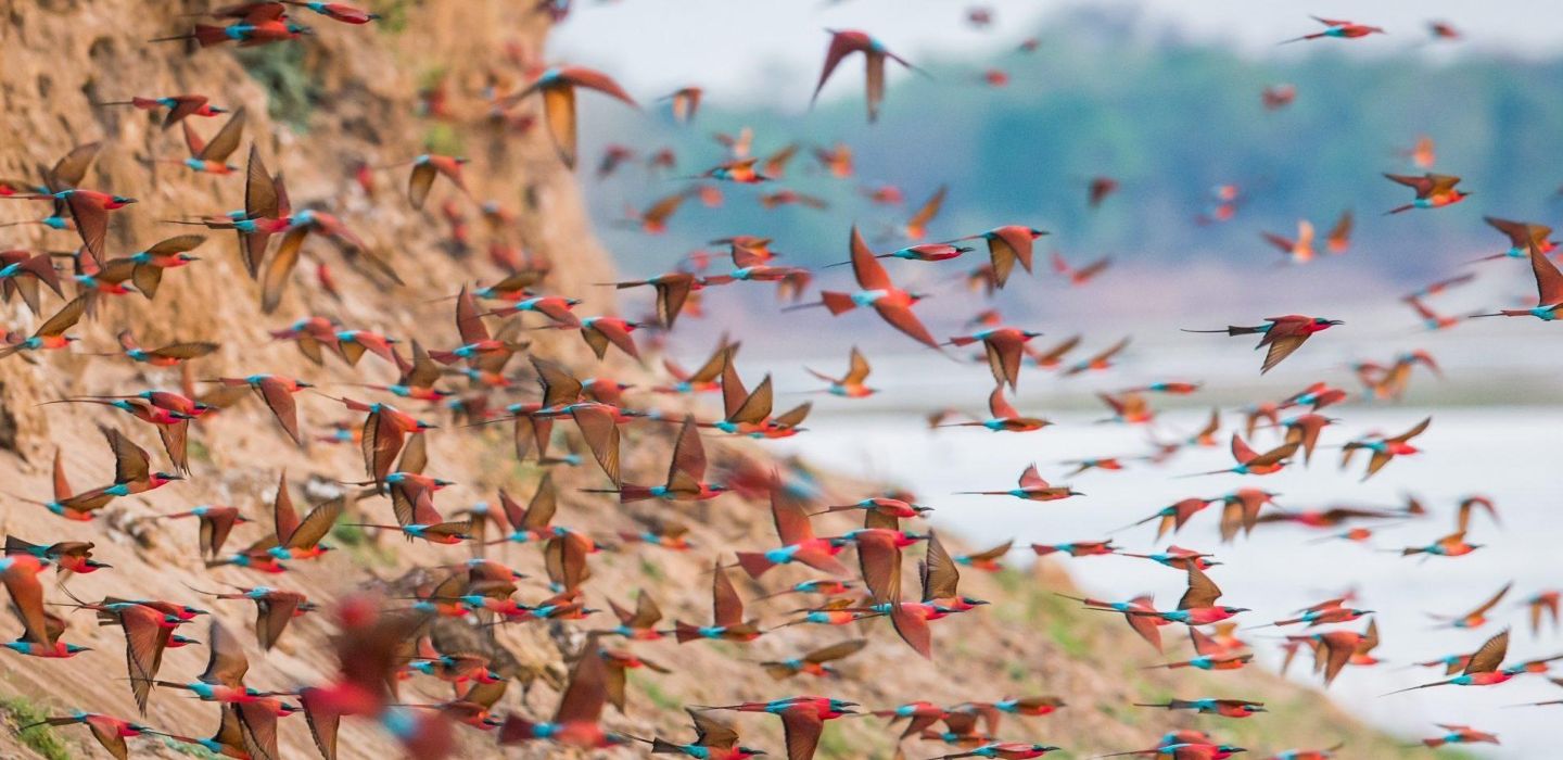 Time Tide South Luangwa Wildlife 24 Will Burrard Lucas
