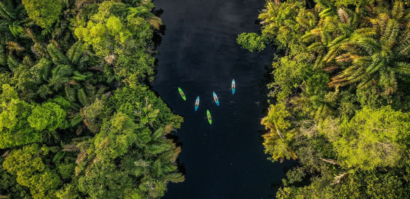 Activities galeria KAYAKING THE MYSTICAL CANALS OF TORTUGUERO NATIONAL PARK 10