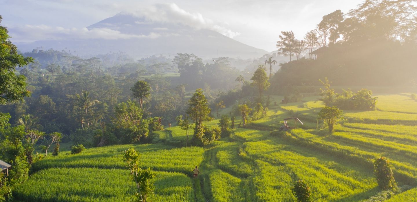 Bali ubud indonesia 2