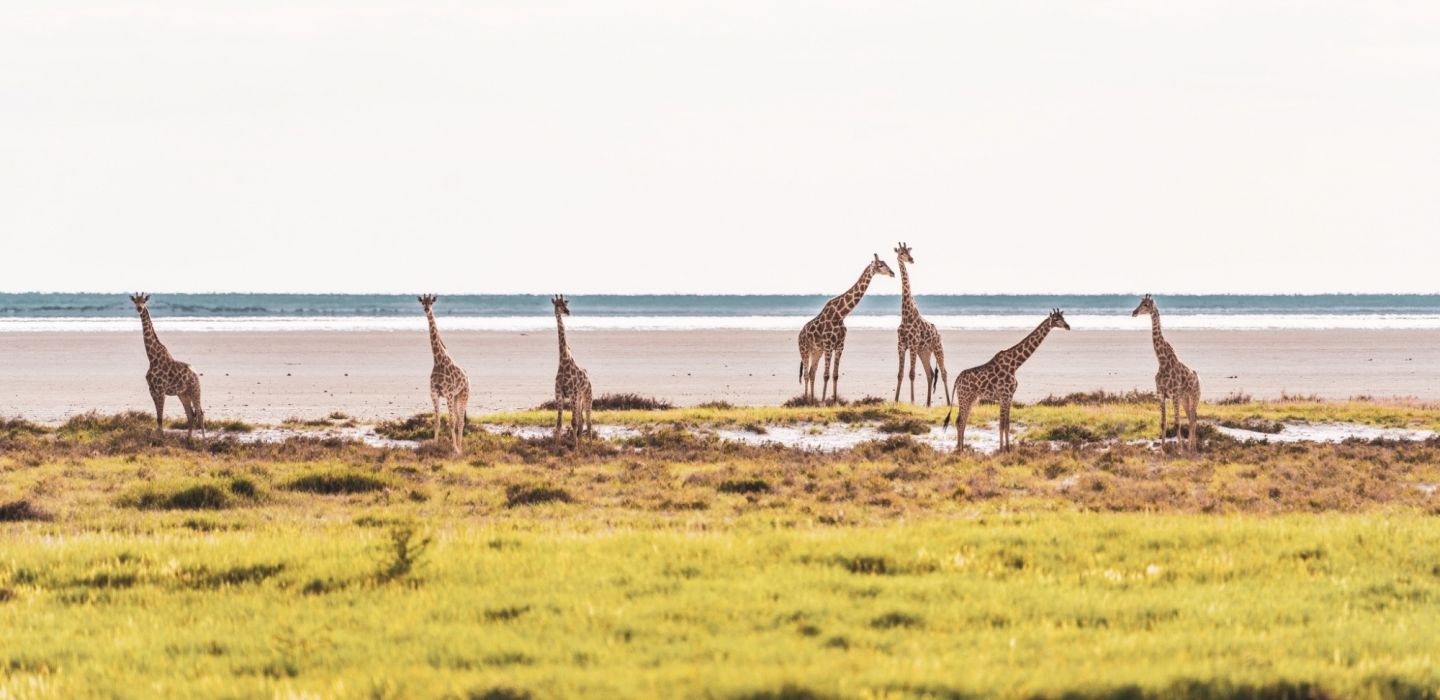 Eelco bohtlingk BR Gz4g0g XP0 unsplash