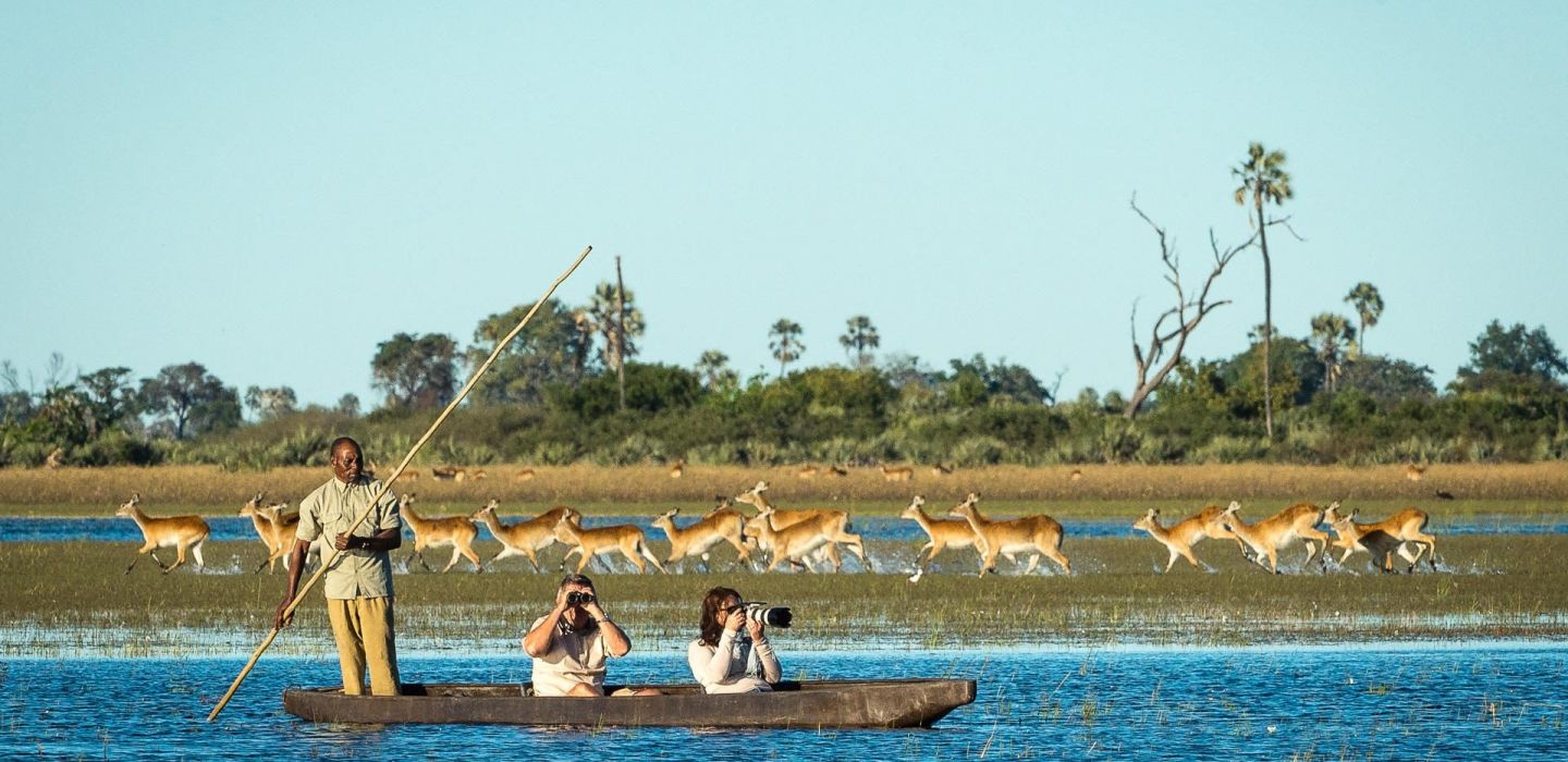 Jao reserve mokoro