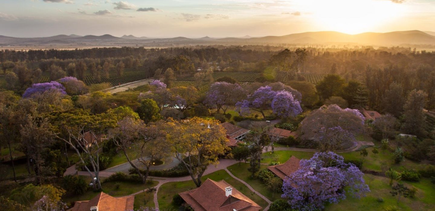 Legendary lodge bird eye view