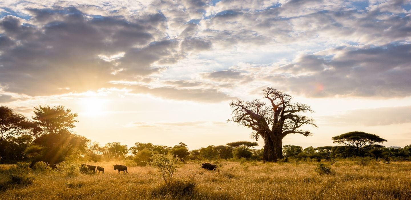 pamushana landscape.jpg