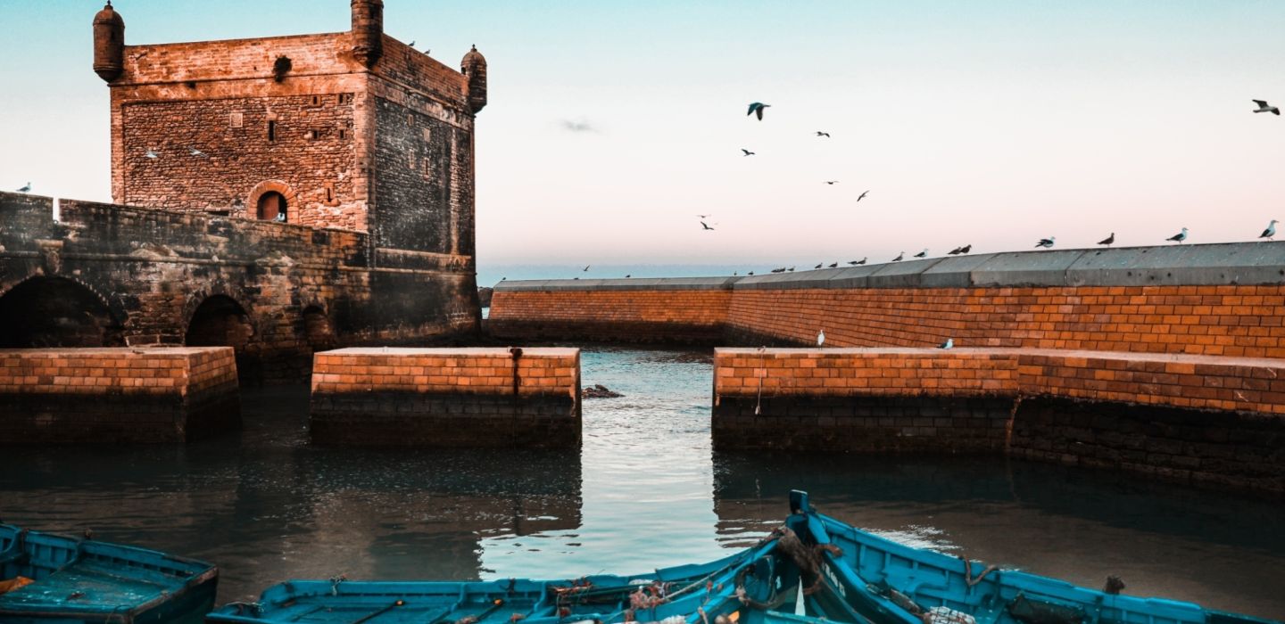 Rigel essaouira unsplash