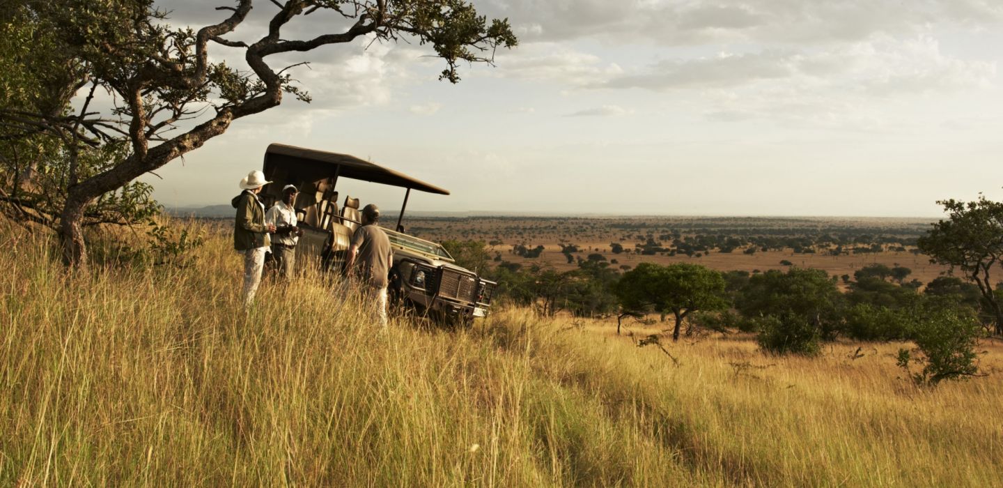 Singita grumeti game drive