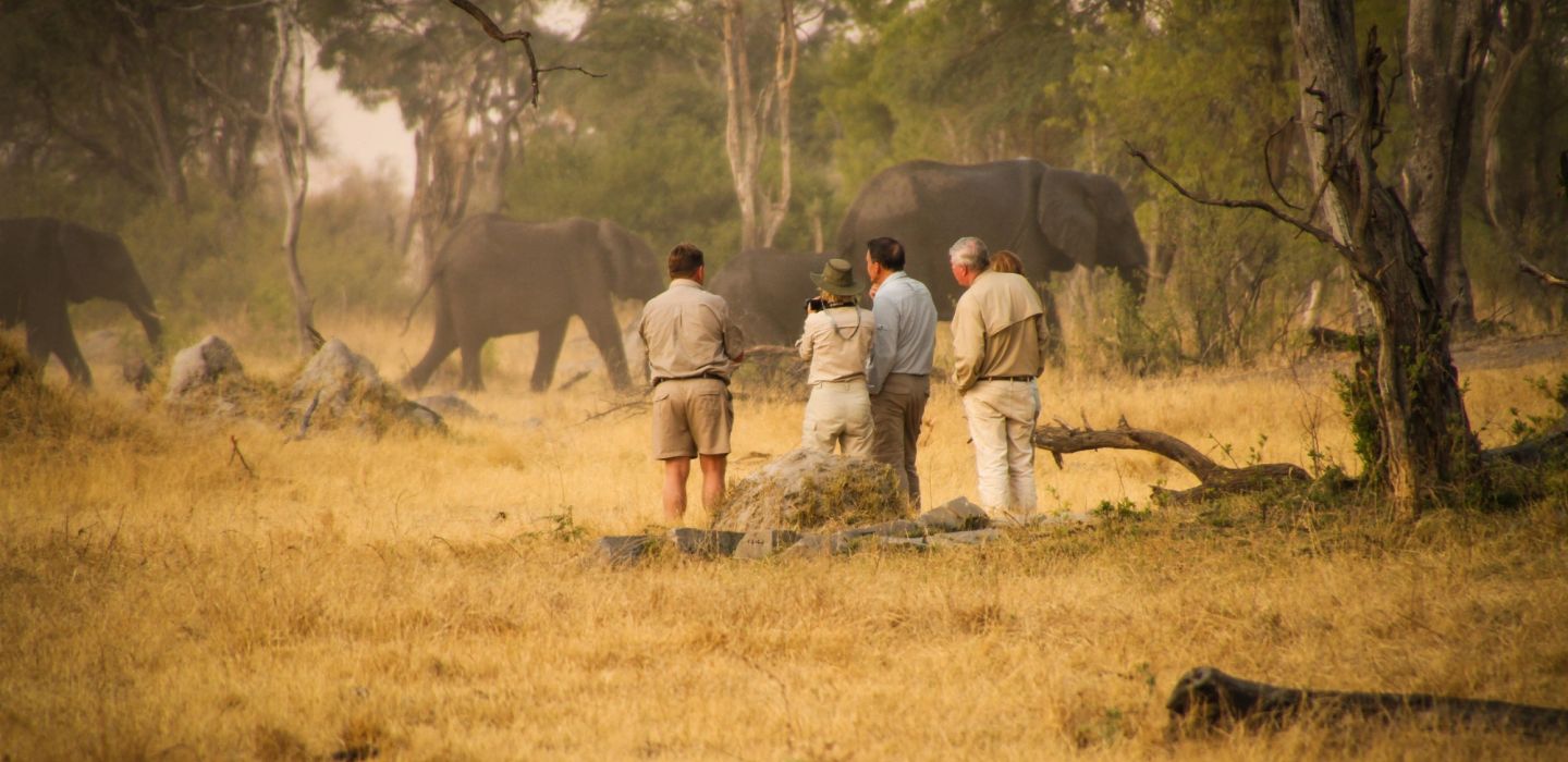 the hide walking safari