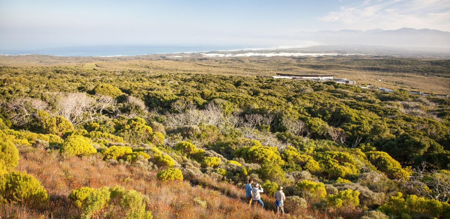 Web grootbos experience hikes walks 06