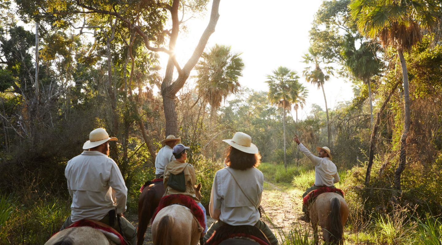 Caiman horse riding