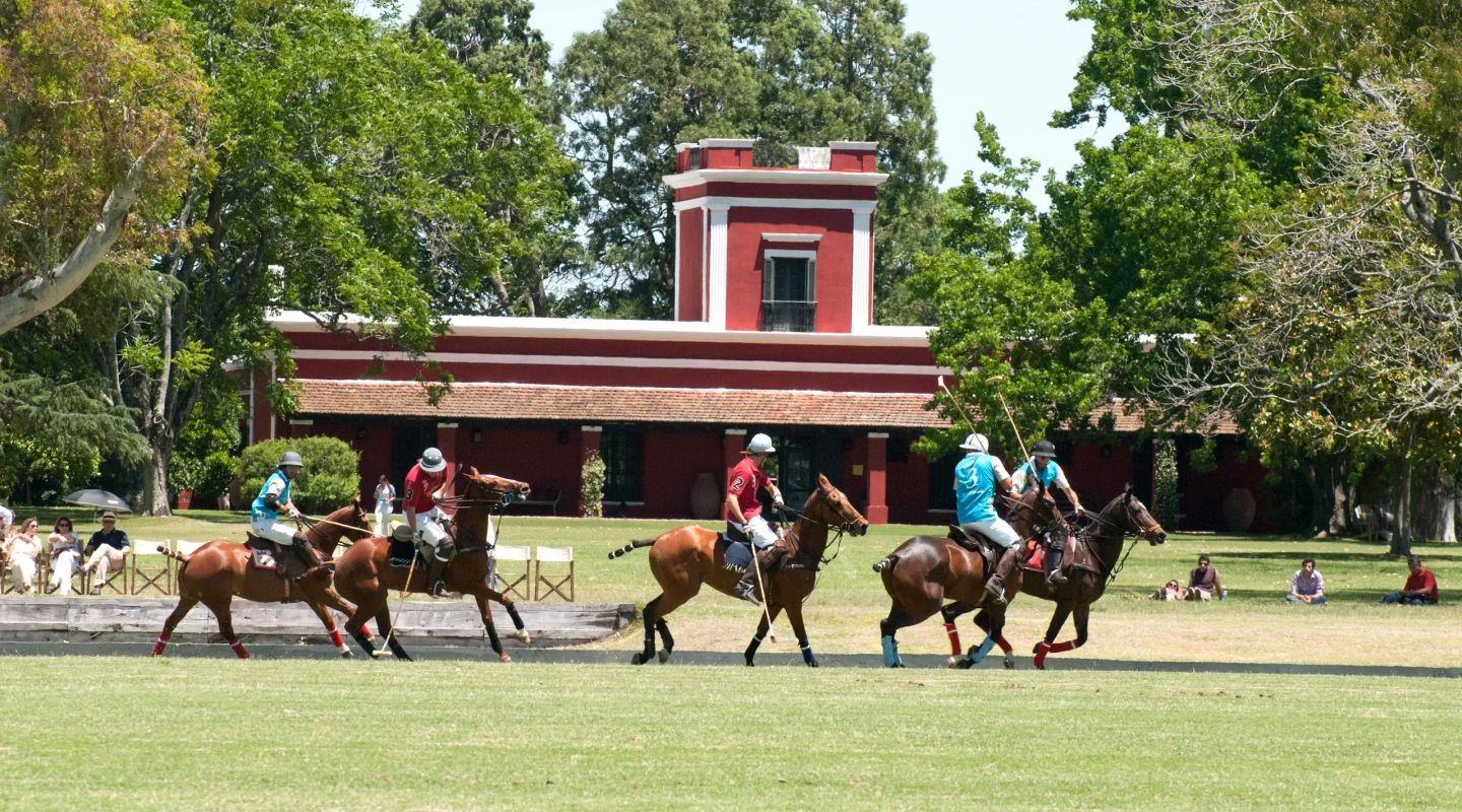 Bamba de areco6