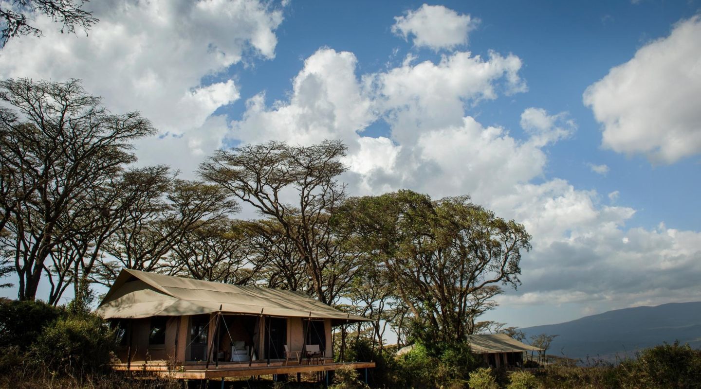 Entamanu Ngorongoro3