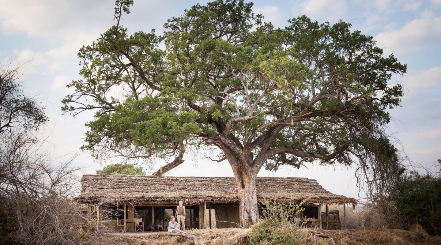 Kigelia Ruaha Safari 9