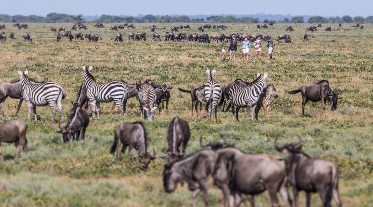 Legendary Serengeti Mobile Camp & Wildlife Gallery