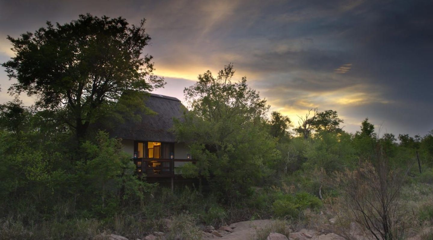 Little Bush Camp Sabi Sands