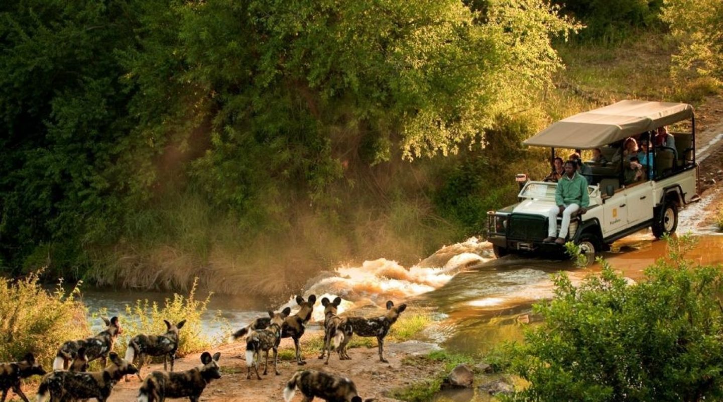 Morukuru River House Game Drive