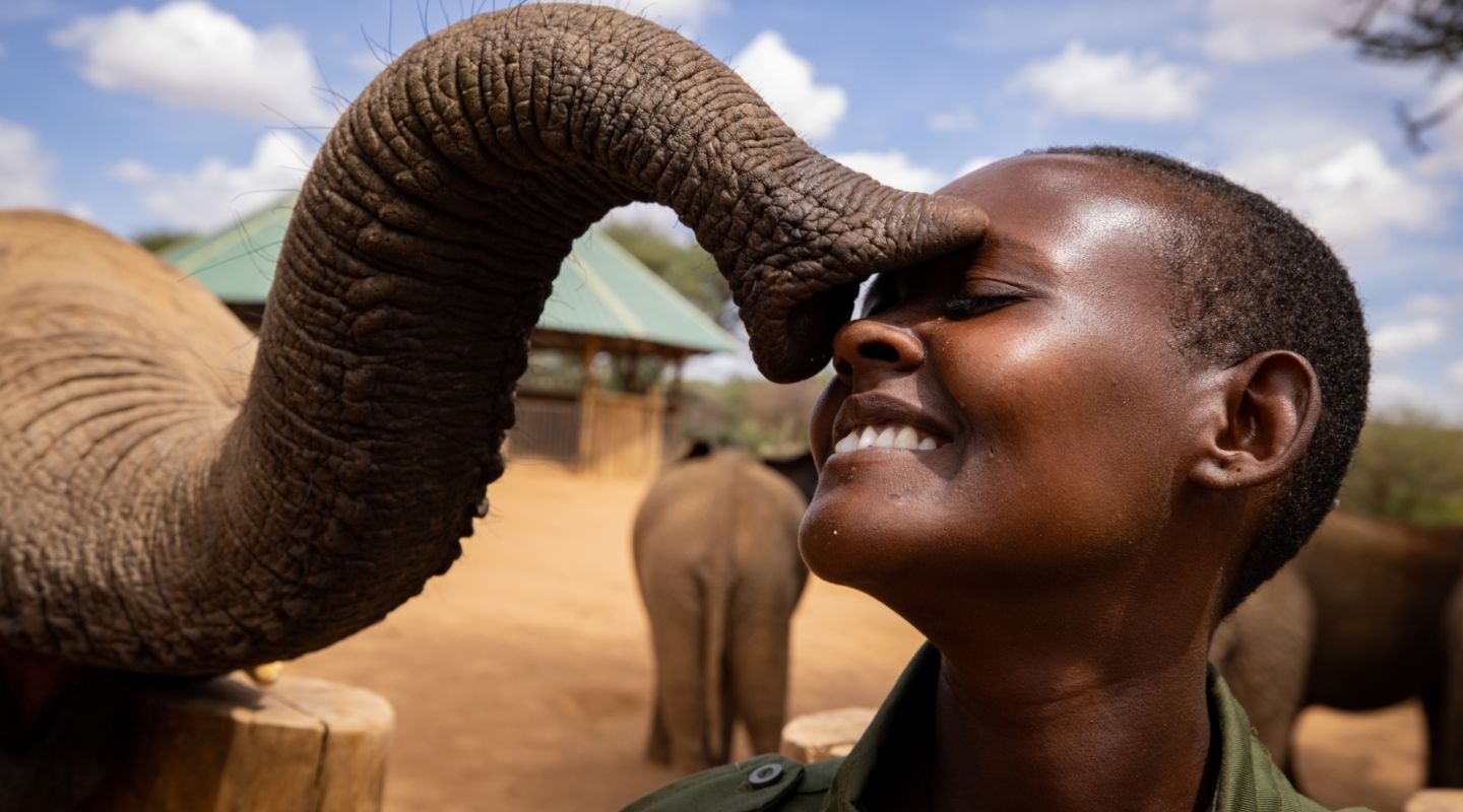 Niarra Travel The Great Wildebeest Migration FAQ