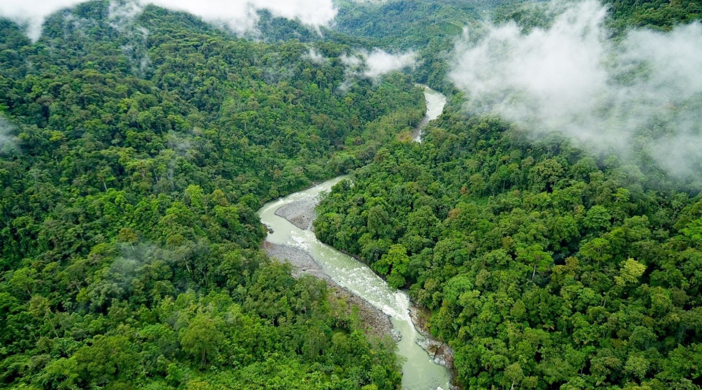 Aerial view of the green trees and river in Pacuare in Costa Rica