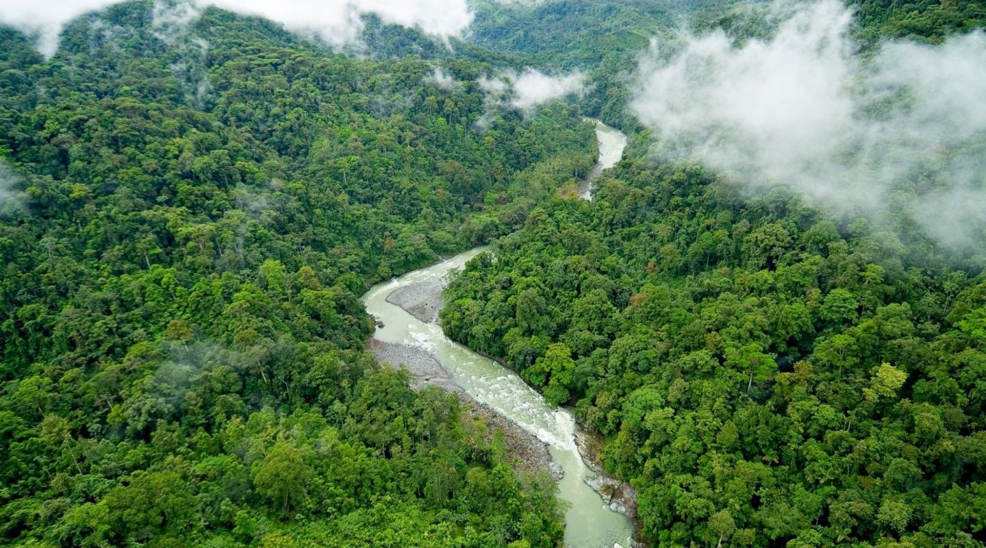 Pacuare costa rica 1