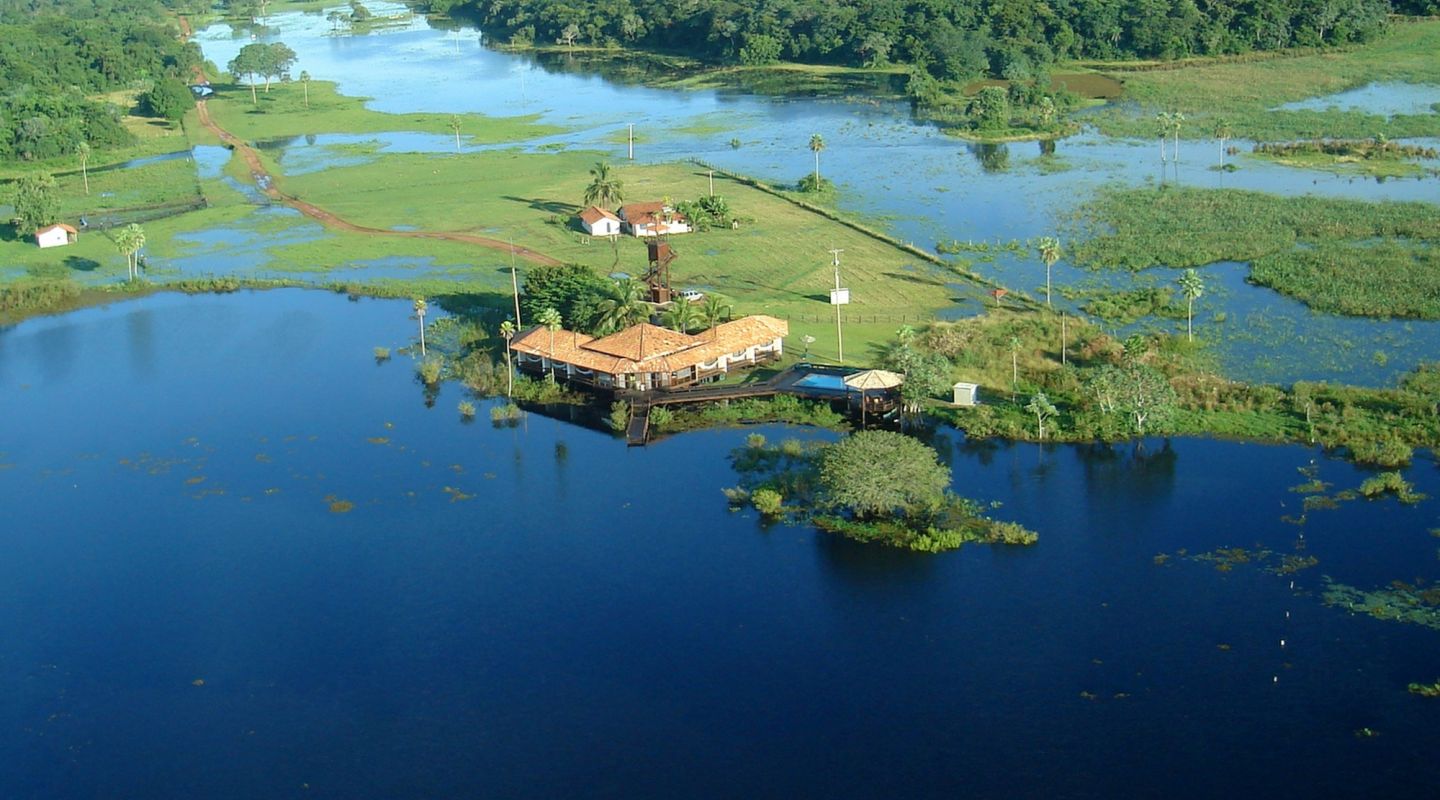 Caiman refuge in Brazil showcasing conservation vacation efforts.