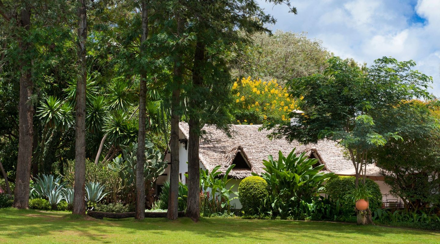 Plantation Lodge8