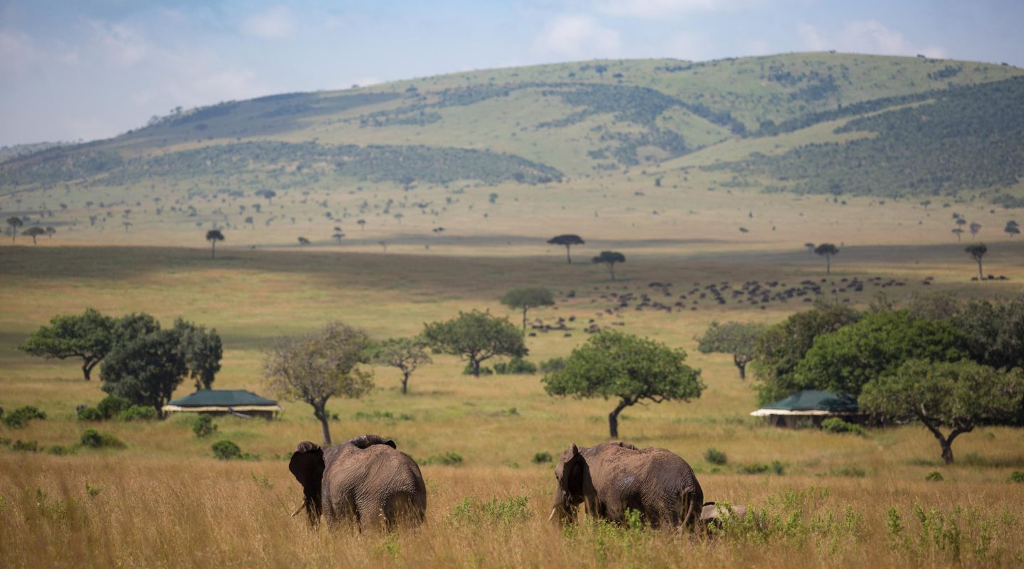 Sand River Masai Mara7