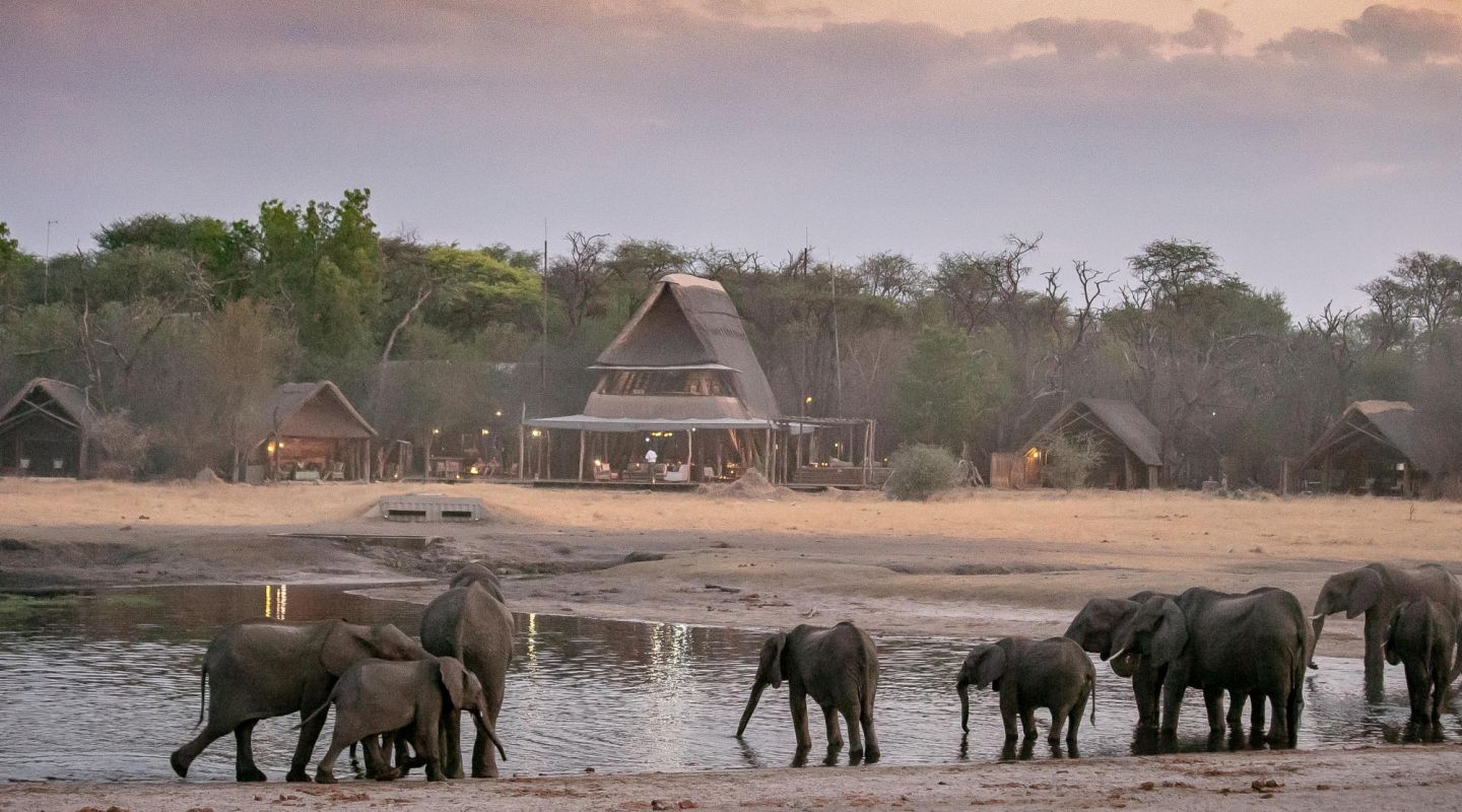 The Hide A Frame and Elephants