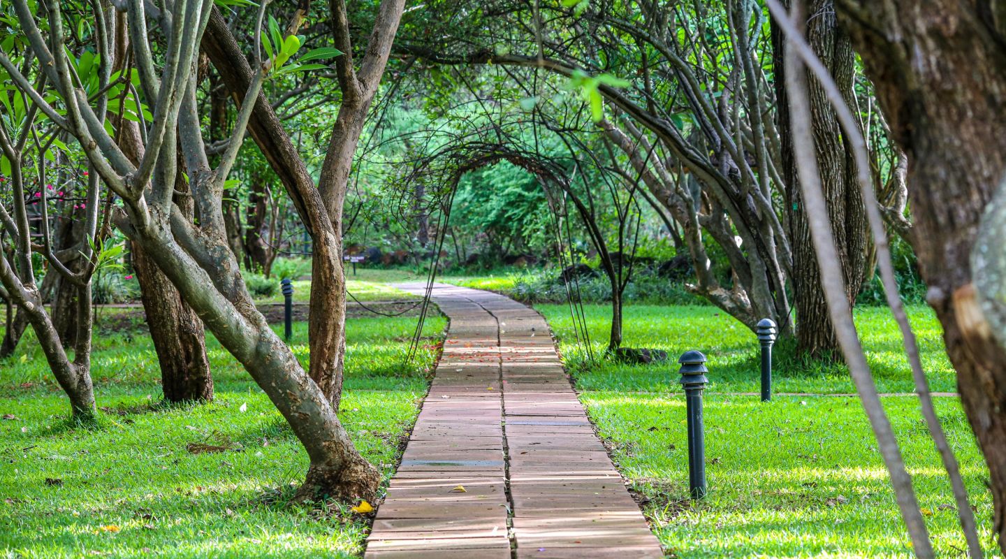 The River Club Zambia Walkway