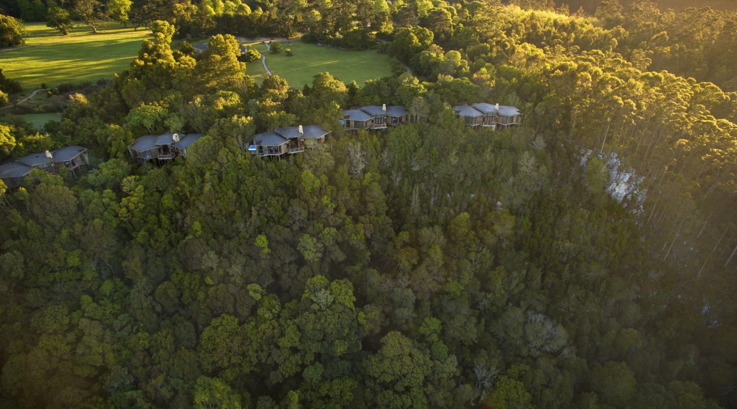 Tsala Treetop Lodge Aerial View