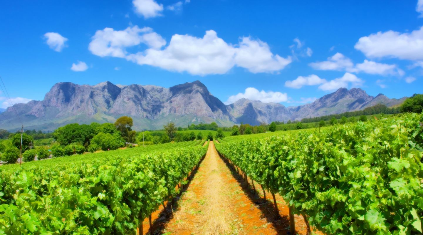 Winelands tours