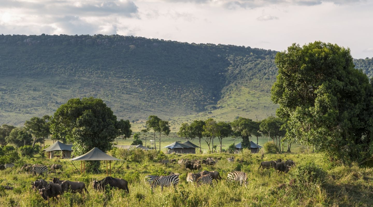 Angama private safari camp migration