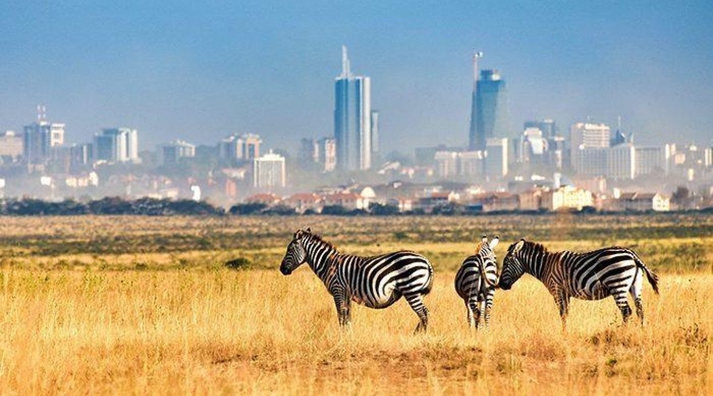 Nairobi national park 700x450