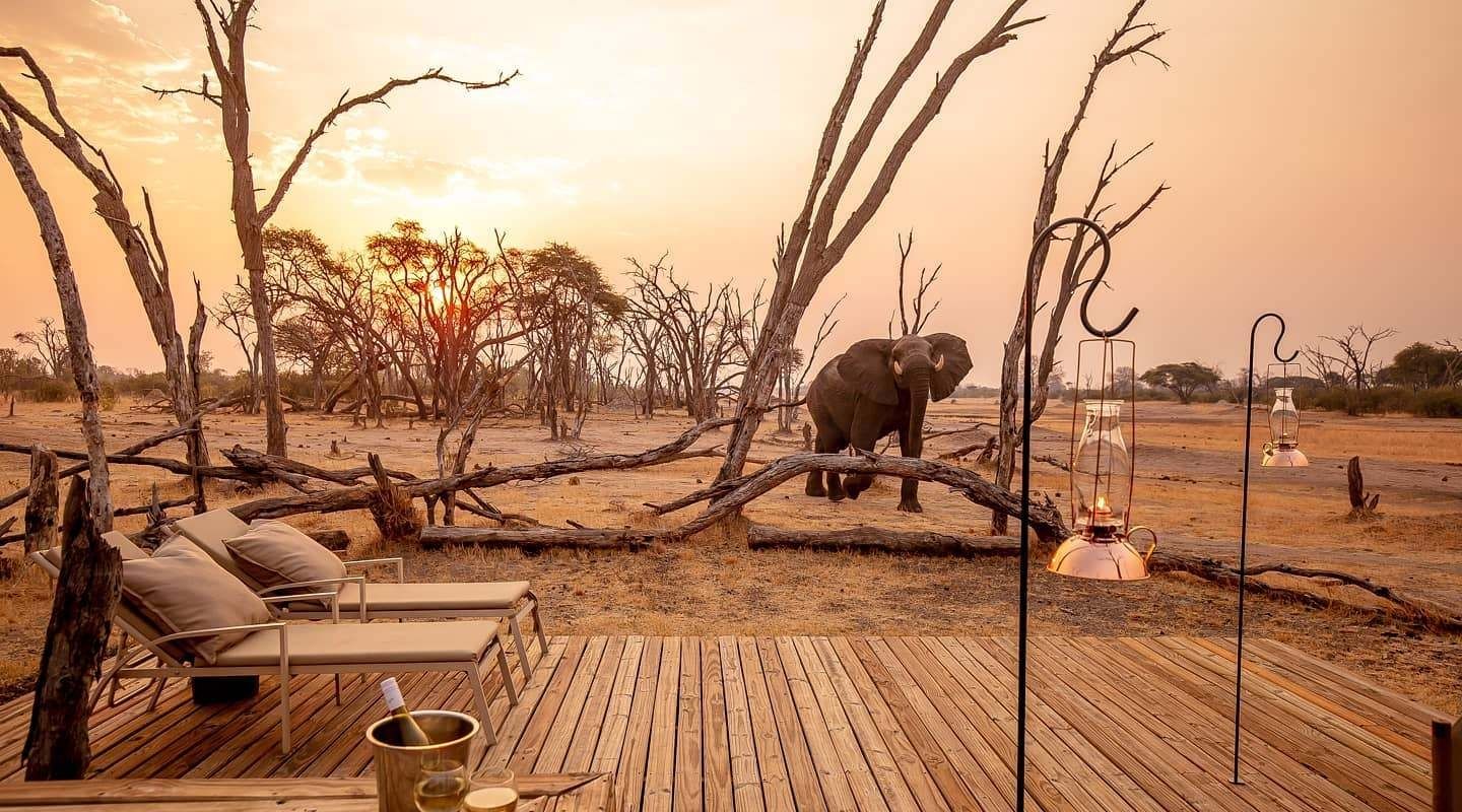 The hide hwange elephant deck