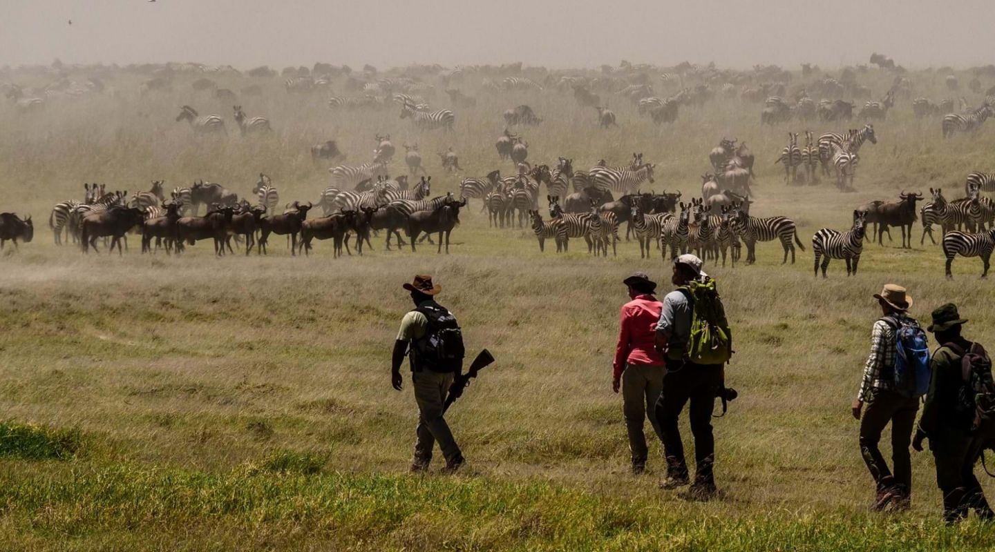 Group wearing appropriate clothing while on a walking safari, having learned what to pack for an African safari