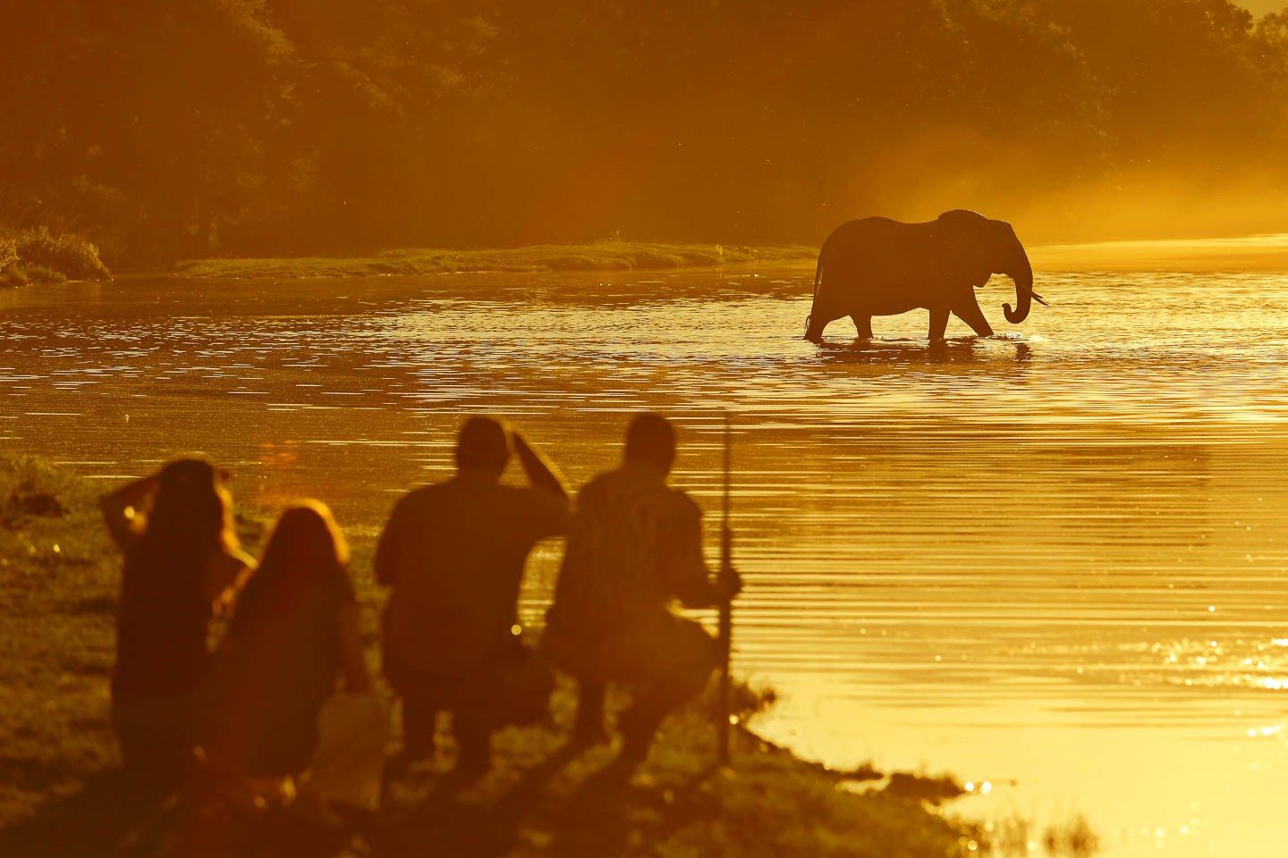 Chongwe River Camp 16
