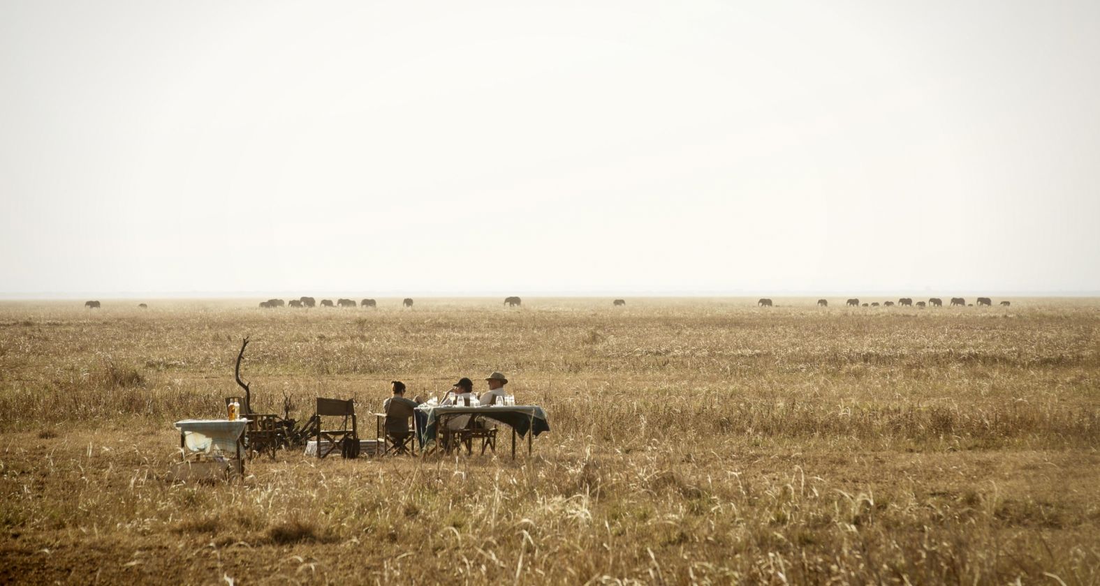 Chada Katavi camp 1