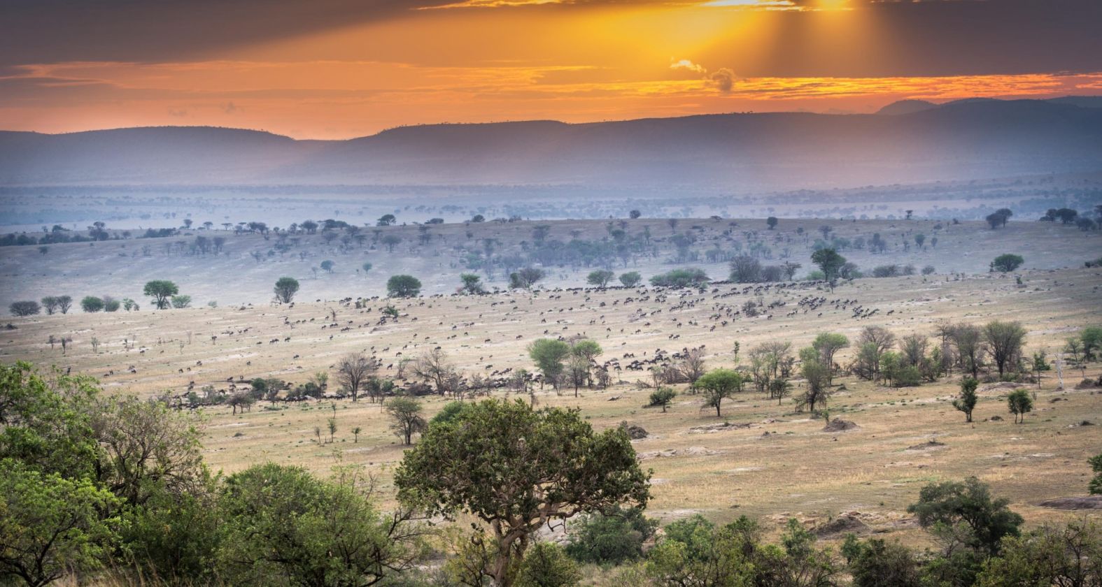 Legendary Migration Camp Serengeti Tanzania 2