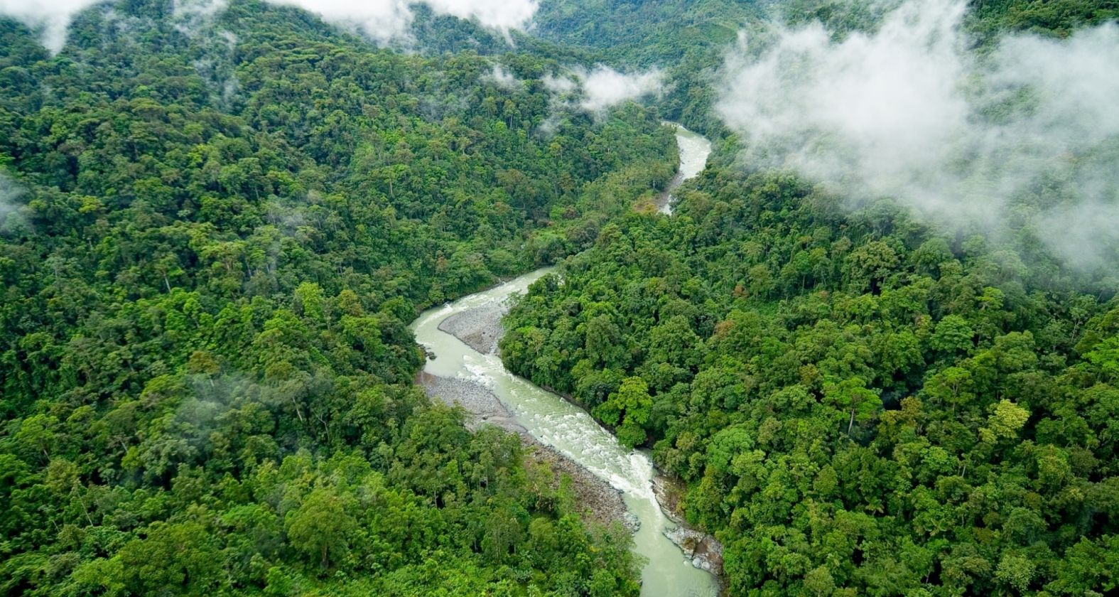 Pacuare costa rica 1