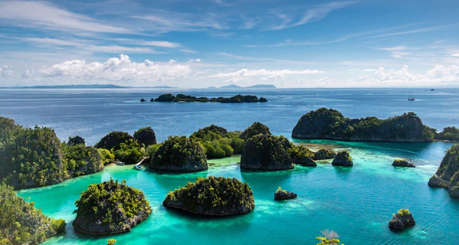 Sutirta budiman raja ampat unsplash